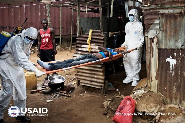 Ebola virüsü hakkında bilmeniz gereken her şey